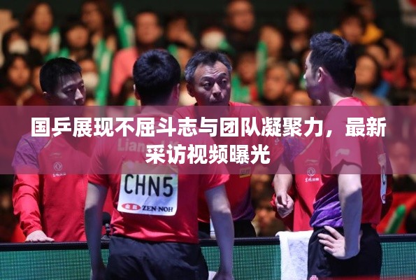 国乒展现不屈斗志与团队凝聚力,最新采访视频曝光