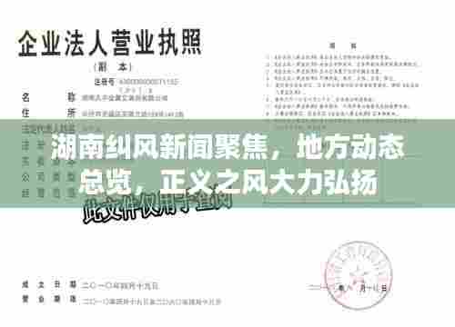 湖南纠风新闻聚焦，地方动态总览，正义之风大力弘扬