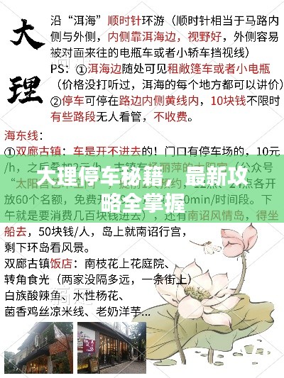 大理停车秘籍，最新攻略全掌握