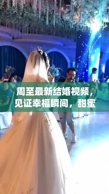 周至最新结婚视频,见证幸福瞬间,甜蜜满溢!