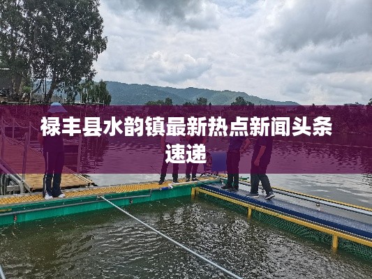 禄丰县水韵镇最新热点新闻头条速递