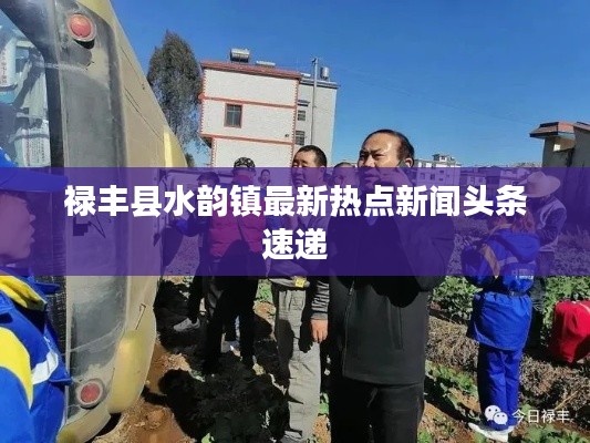 禄丰县水韵镇最新热点新闻头条速递