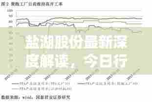 草率从事 第3页