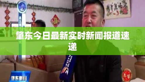 肇东今日最新实时新闻报道速递
