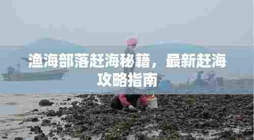 渔海部落赶海秘籍，最新赶海攻略指南