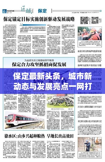 保定最新头条,城市新动态与发展亮点一网打尽