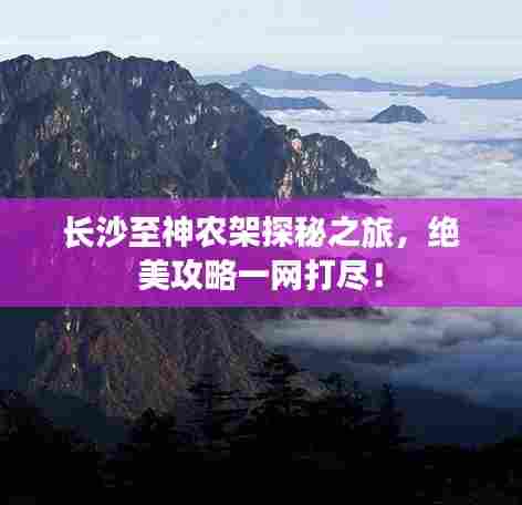 长沙至神农架探秘之旅,绝美攻略一网打尽!