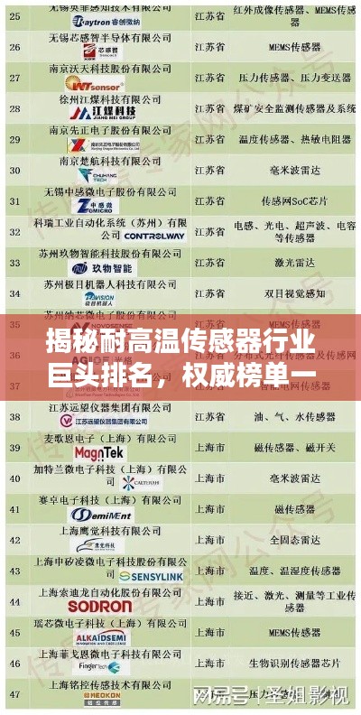 揭秘耐高温传感器行业巨头排名,权威榜单一网打尽!