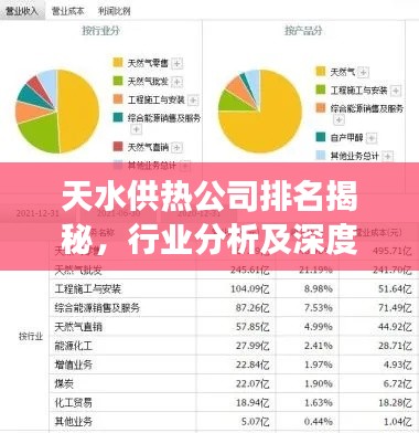天水供热公司排名揭秘,行业分析及深度解读
