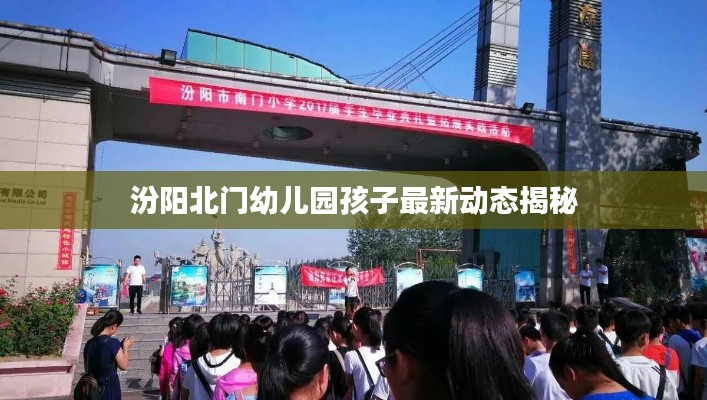 汾阳北门幼儿园孩子最新动态揭秘