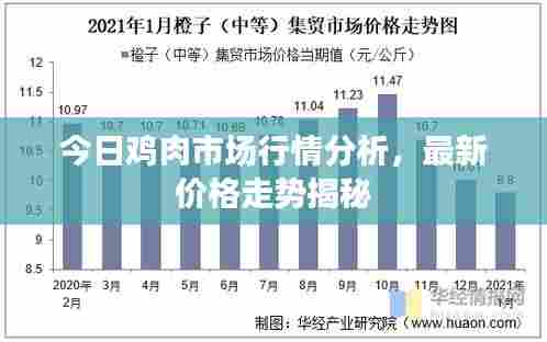 今日鸡肉市场行情分析,最新价格走势揭秘