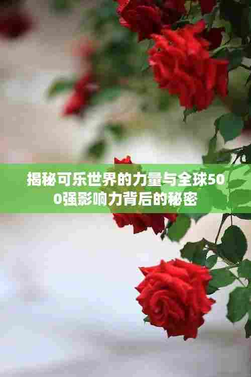 揭秘可乐世界的力量与全球500强影响力背后的秘密