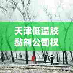 天津低温胶黏剂公司权威排行榜揭晓