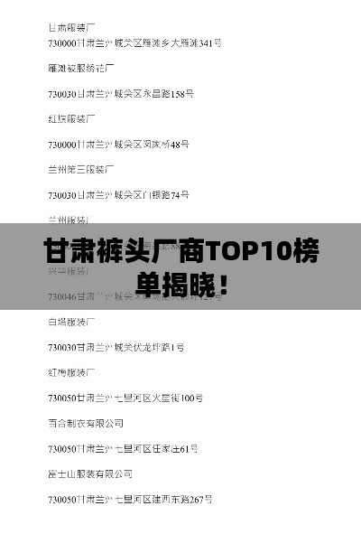 甘肃裤头厂商TOP10榜单揭晓！