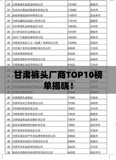 甘肃裤头厂商TOP10榜单揭晓!