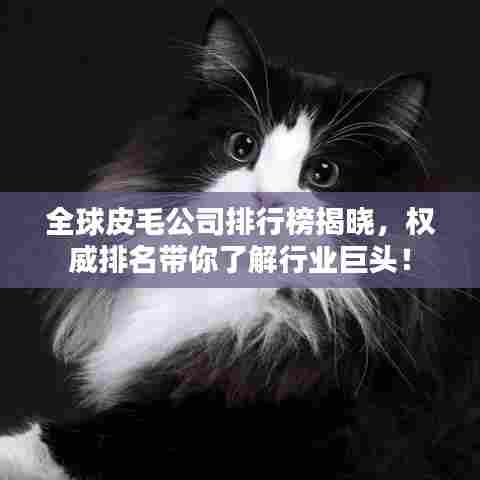 全球皮毛公司排行榜揭晓,权威排名带你了解行业巨头!