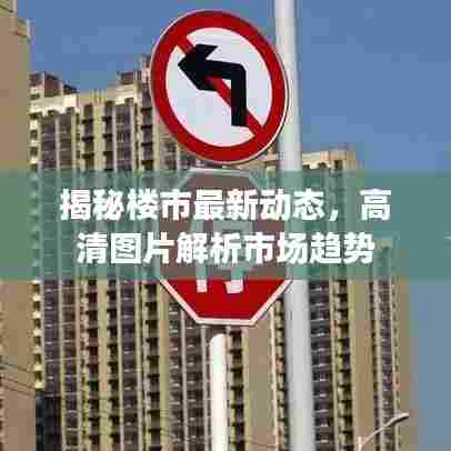 披沙拣金 第3页