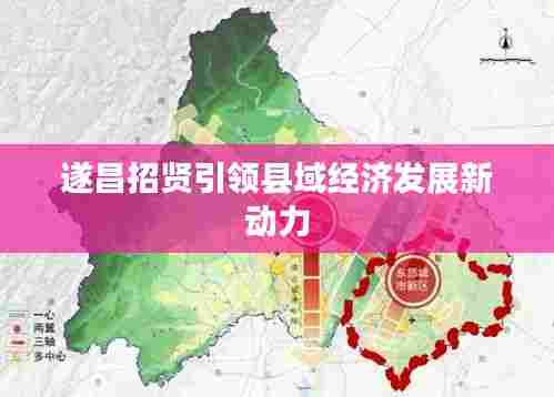 遂昌招贤引领县域经济发展新动力