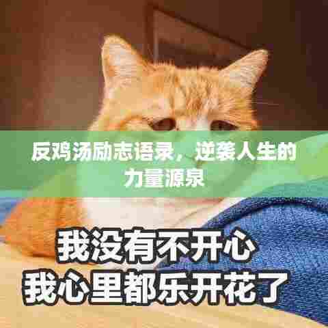 反鸡汤励志语录,逆袭人生的力量源泉