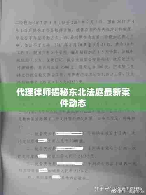 代理律师揭秘东北法庭最新案件动态