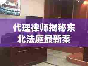 代理律师揭秘东北法庭最新案件动态