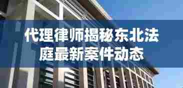 代理律师揭秘东北法庭最新案件动态