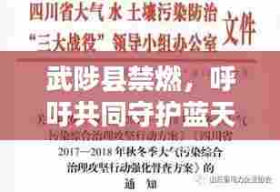 武陟县禁燃，呼吁共同守护蓝天，共建绿色家园的建议书