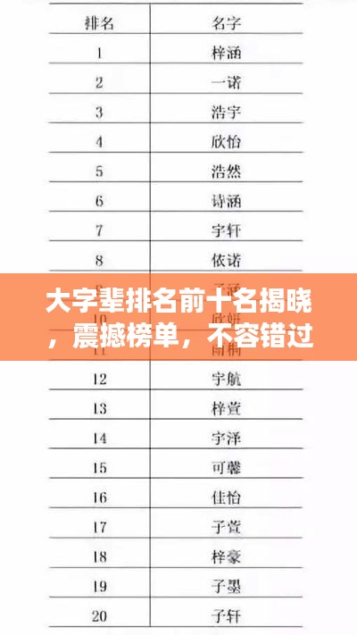 大字辈排名前十名揭晓，震撼榜单，不容错过！