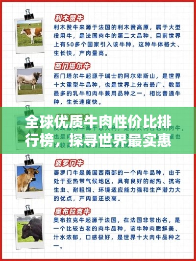 一知半解 第3页