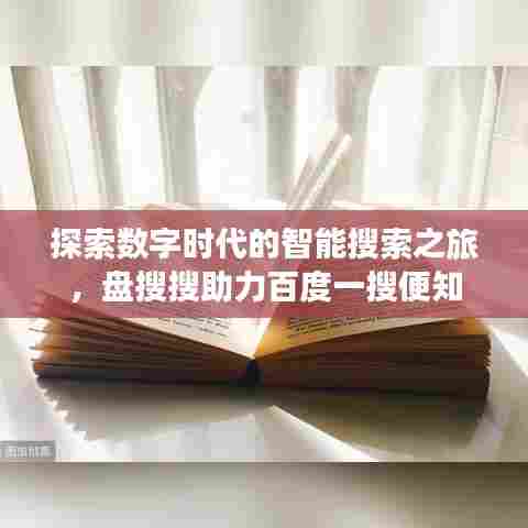 探索数字时代的智能搜索之旅,盘搜搜助力百度一搜便知