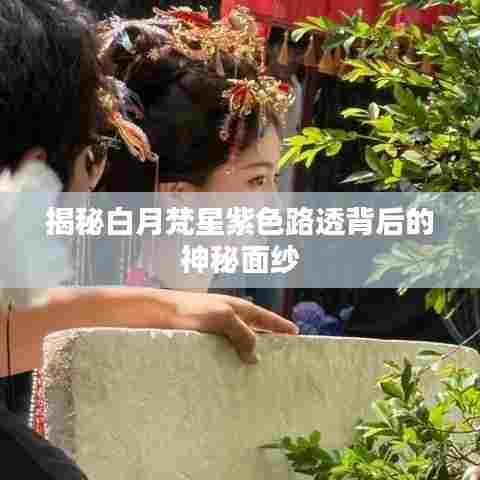 揭秘白月梵星紫色路透背后的神秘面纱