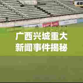广西兴城重大新闻事件揭秘