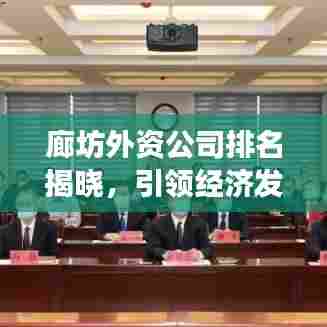 廊坊外资公司排名揭晓,引领经济发展的龙头企业榜单
