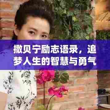 撒贝宁励志语录，追梦人生的智慧与勇气，激发无限潜能！