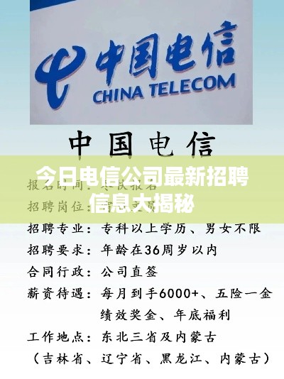 今日电信公司最新招聘信息大揭秘