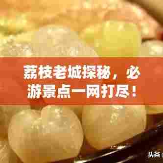 荔枝老城探秘,必游景点一网打尽!