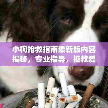小狗抢救指南最新版内容揭秘,专业指导,拯救爱宠生命!
