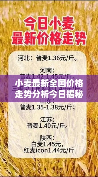 小麦最新全国价格走势分析今日揭秘!