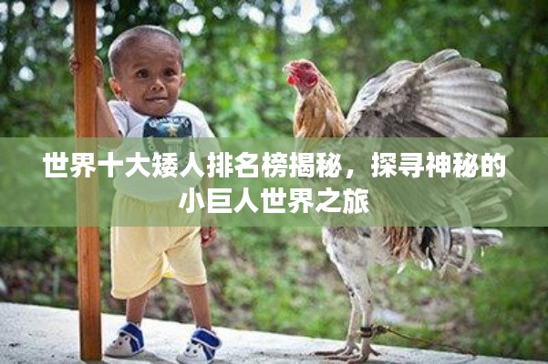 世界十大矮人排名榜揭秘,探寻神秘的小巨人世界之旅