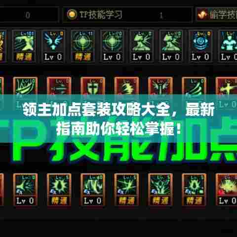 领主加点套装攻略大全,最新指南助你轻松掌握!