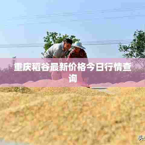 重庆稻谷最新价格今日行情查询