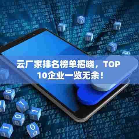云厂家排名榜单揭晓,TOP 10企业一览无余!