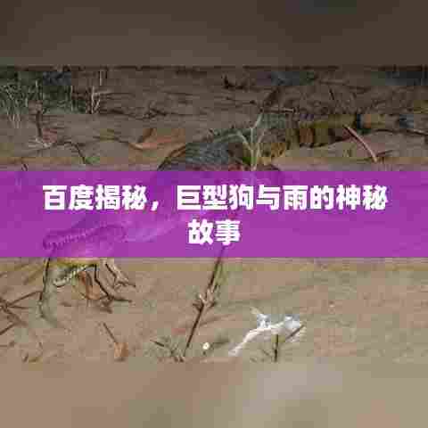 百度揭秘,巨型狗与雨的神秘故事