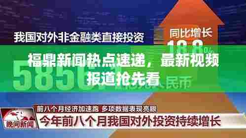 福鼎新闻热点速递,最新视频报道抢先看