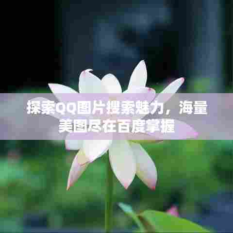探索QQ图片搜索魅力,海量美图尽在百度掌握