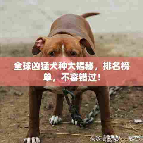 异口同声 第3页