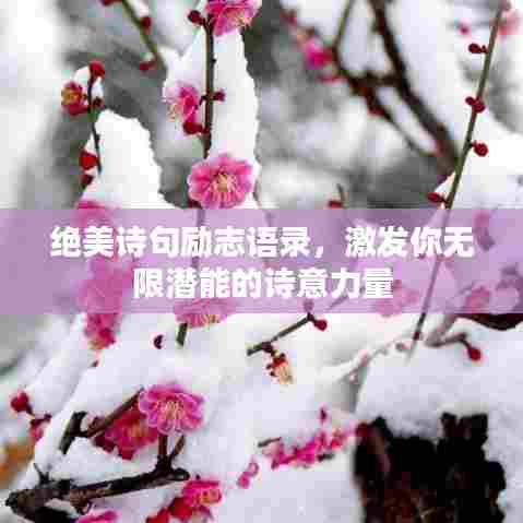 绝美诗句励志语录,激发你无限潜能的诗意力量