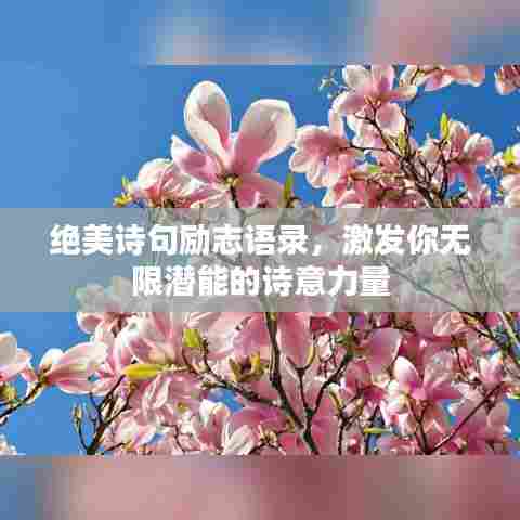 绝美诗句励志语录,激发你无限潜能的诗意力量