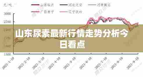 山东尿素最新行情走势分析今日看点
