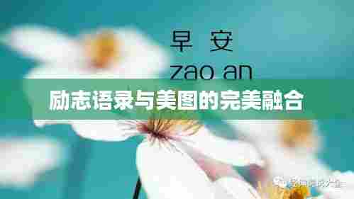 励志语录与美图的完美融合
